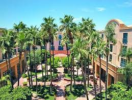 Tempe Mission Palms